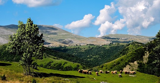 Planinska priroda i seoska idila na visoravni Radobolje